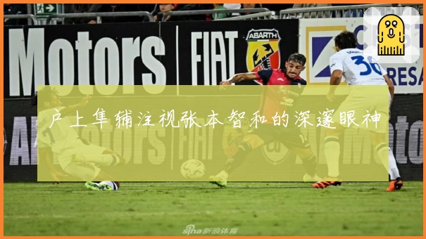 户上隼辅注视张本智和的深邃眼神