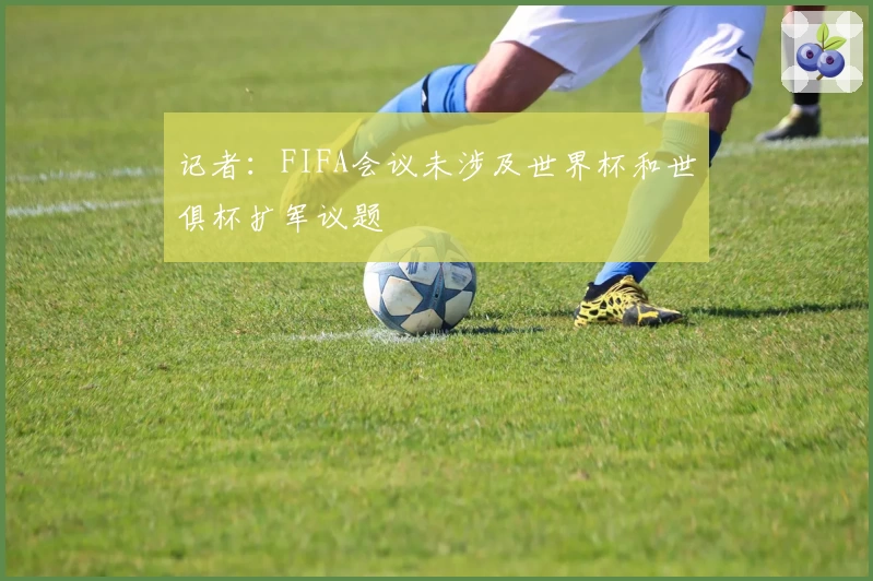 记者：FIFA会议未涉及世界杯和世俱杯扩军议题