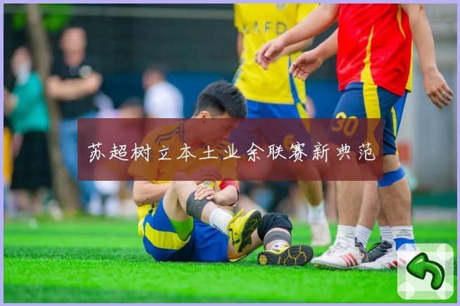 苏超树立本土业余联赛新典范