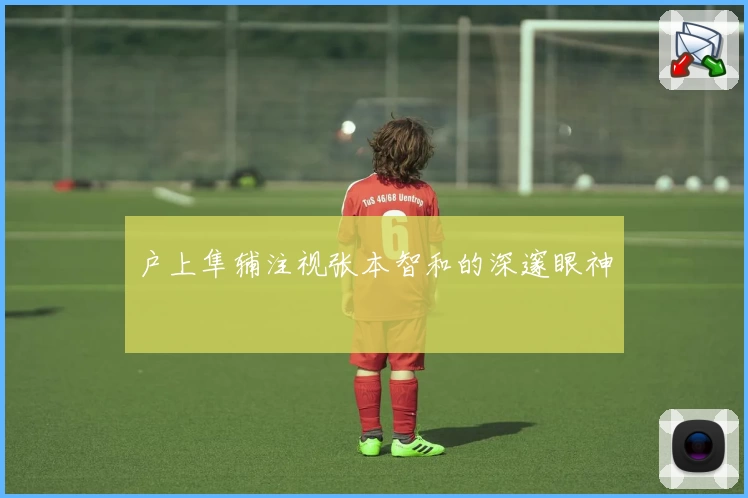 户上隼辅注视张本智和的深邃眼神