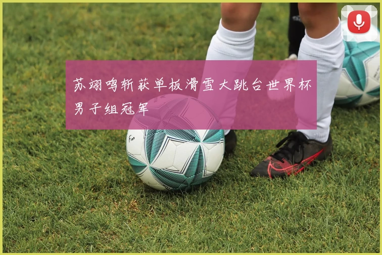 苏翊鸣斩获单板滑雪大跳台世界杯男子组冠军