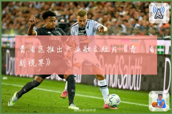 青浦区推出六业融合短片《青⁺浦新视界》