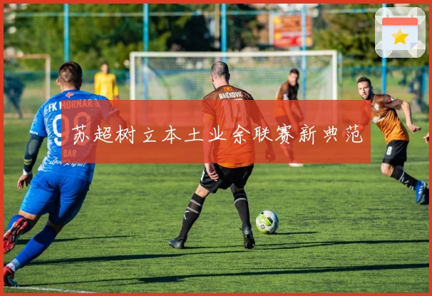 苏超树立本土业余联赛新典范