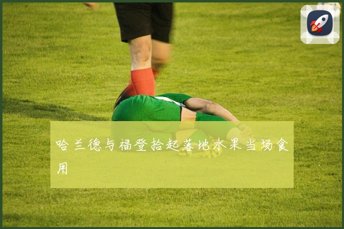 哈兰德与福登拾起落地水果当场食用